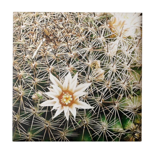 Blume auf einem Kaktus Fliese (Vorderseite)