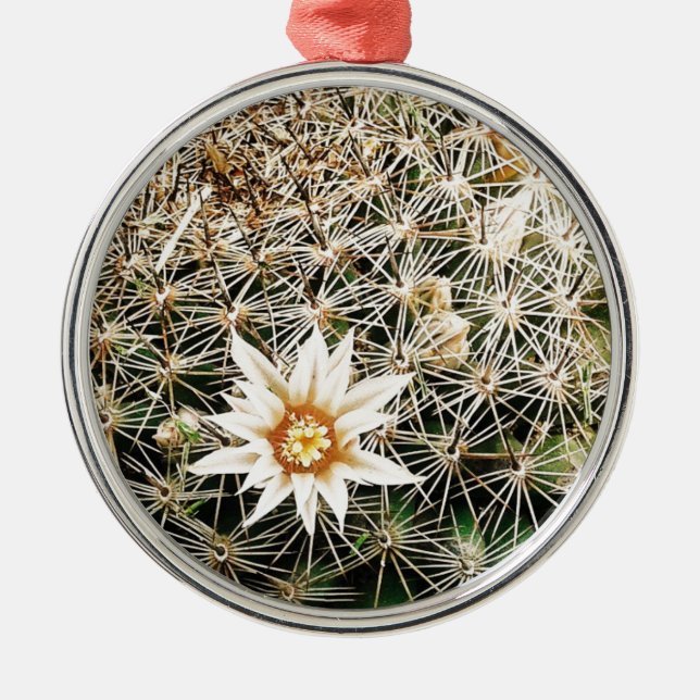 Blume auf einem Kaktus Silbernes Ornament (Vorne)