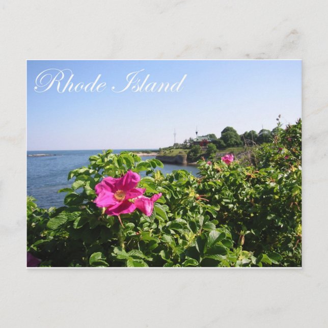 Blume auf Rhode Island Postkarte (Vorderseite)