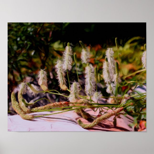 Blume auf Rock Oil Foto Malerei Poster (Vorne)