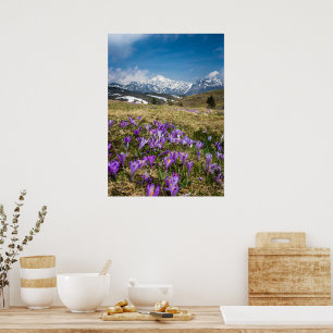 Blume auf Velika Planina, Sl Poster