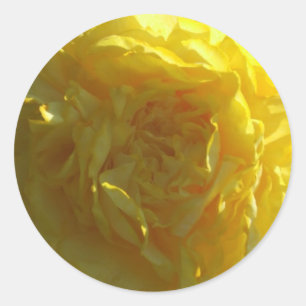Blume-Aufkleber für hellgelbe Peony Runder Aufkleber
