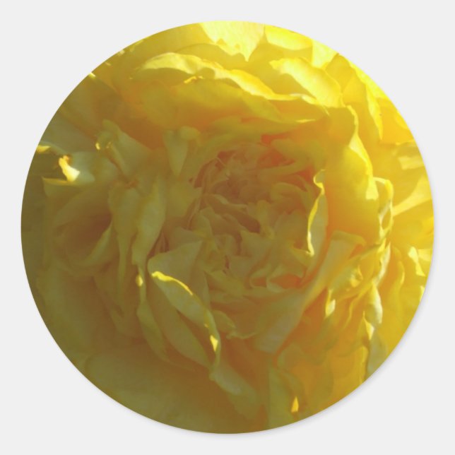 Blume-Aufkleber für hellgelbe Peony Runder Aufkleber (Vorderseite)