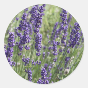Blume-Aufkleber Runder Aufkleber