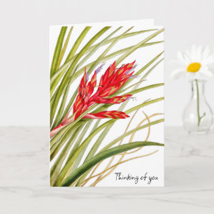 BLUME AUS DER NATURKARTE KARTE