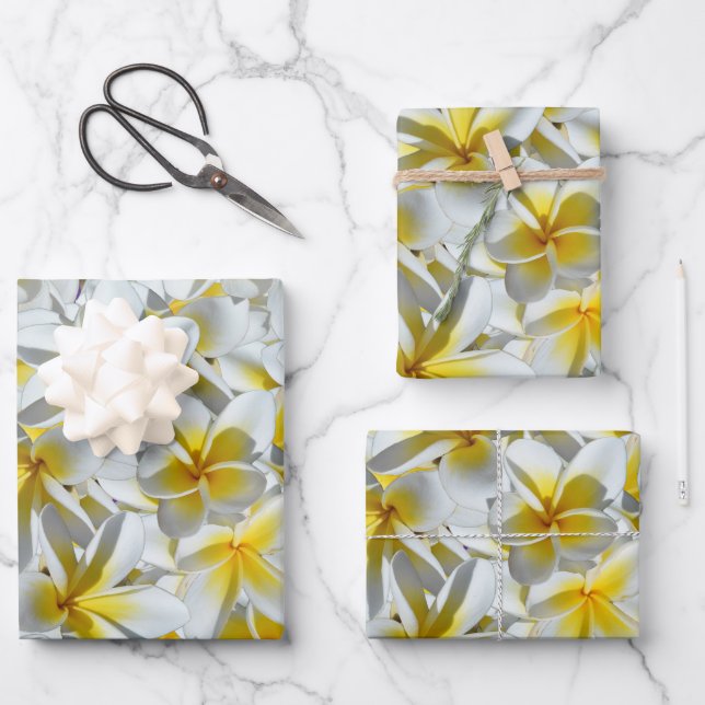 Blume aus gelben und weißen Frangipani, Geschenkpapier Set (Vorderseite)