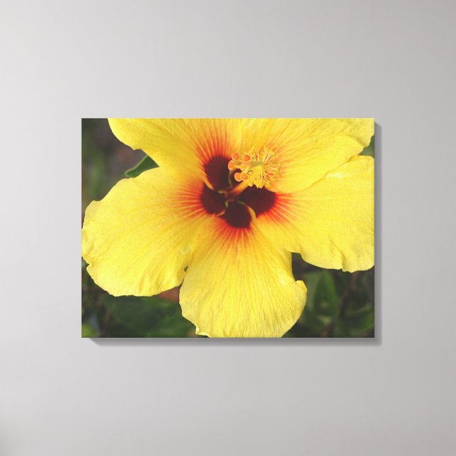 Blume aus hawaiianischem Hibiskus Leinwanddruck (Vorderseite)