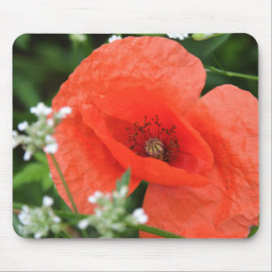 Blume aus Mohn in grüner Vegetation Mousepad
