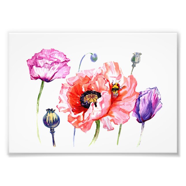 Blume aus Mohnfeldern, Aquarellkunst Fotodruck (Vorne)