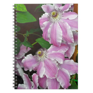 Blume aus Pink und Weiß Notizblock