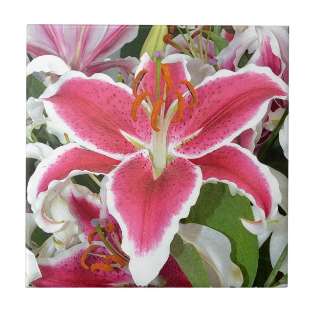 Blume aus rosa Sterngazer Fliese (Vorderseite)