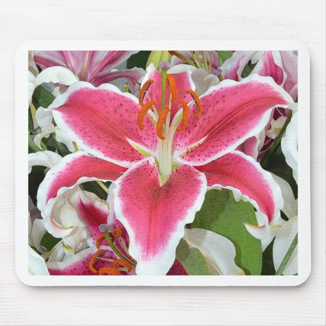 Blume aus rosa Sterngazer Mousepad (Vorne)
