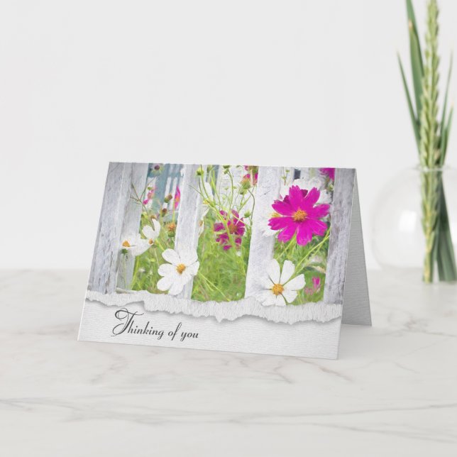 Blume aus Rosa und Weiß Karte (Vorderseite)