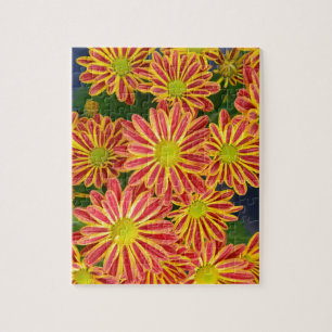 Blume aus Rotbein und Gelbstreifen