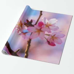 Blume aus Sakura im Schatten eines Baumes Geschenkpapier