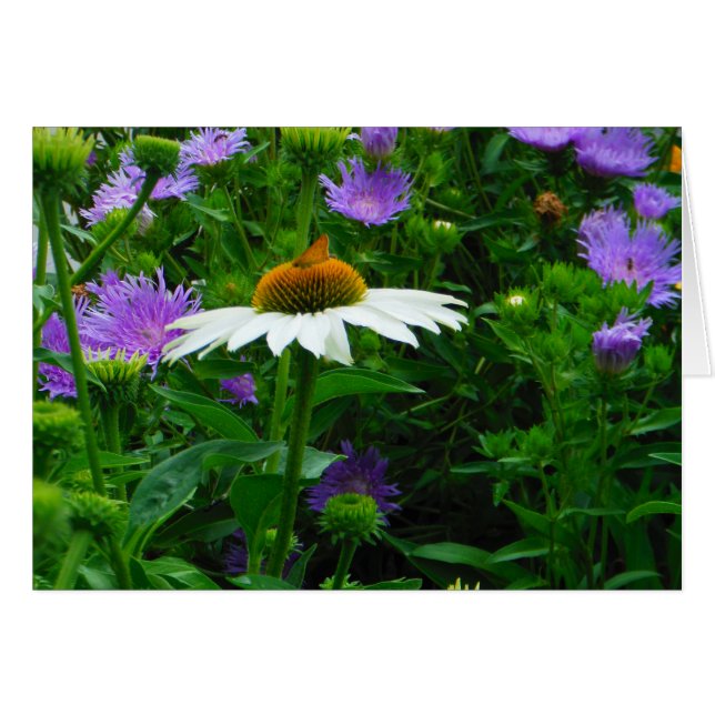 Blume aus weißem Kon, violette Blumen und Motte (Vorderseite (Horizontal))
