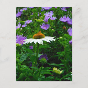 Blume aus weißem Kon, violette Blumen und Motte Postkarte