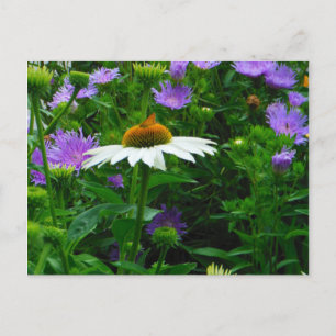 Blume aus weißem Kon, violette Blumen und Motte Postkarte