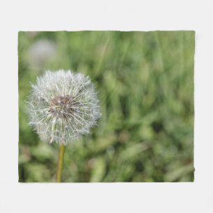 Blume aus weißem Löwenzahn auf grünem Gras Fleecedecke