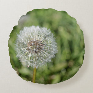 Blume aus weißem Löwenzahn auf grünem Gras Rundes Kissen