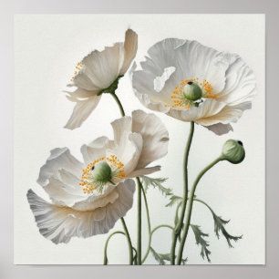 Blume aus weißem Mohn Art Poster drucken