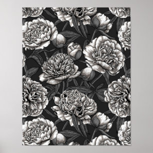 Blume aus weißem Pfirsich auf dunkelgrau Poster