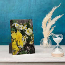 Blume aus weißem und gelbem Garten Fotoplatte