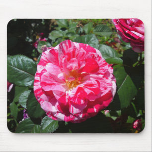 Blume aus weißem und rotem Marmor, Mauspad