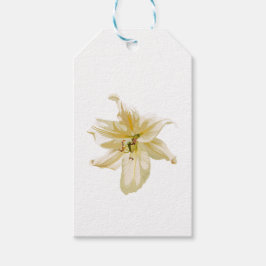 Blume aus weißer Lilie. Geschenkanhänger