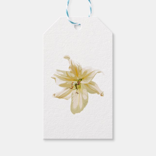 Blume aus weißer Lilie. Geschenkanhänger (Vorderseite)
