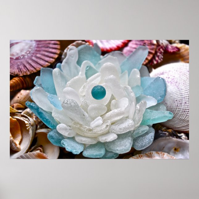 Blume aus Weißmeer Poster (Vorne)