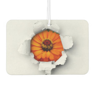 Blume Autolufterfrischer