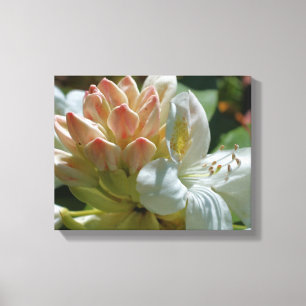 Blume Azalea Leinwanddruck