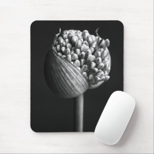 Blume   B&W Allium Blume Bud Mousepad