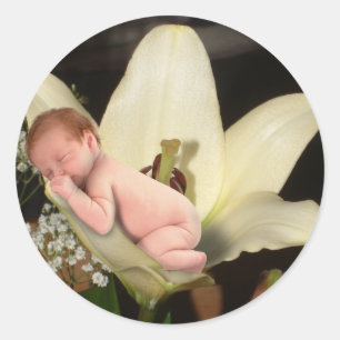 Blume Baby Round Sticker