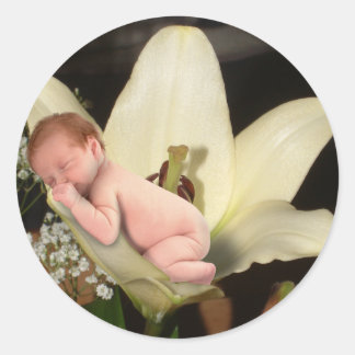 Blume Baby Round Sticker