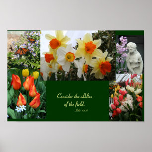Blume "Betrachten Sie die Lilien des Feldes" Poste Poster
