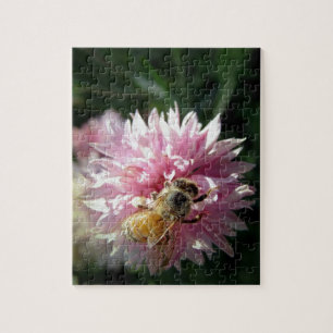Blume Bienen und Rosa