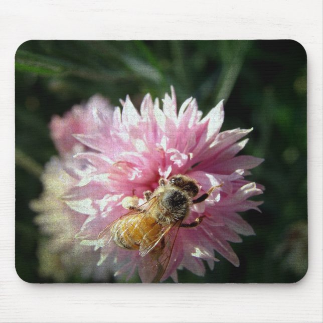 Blume Bienen und Rosa Mousepad (Vorne)