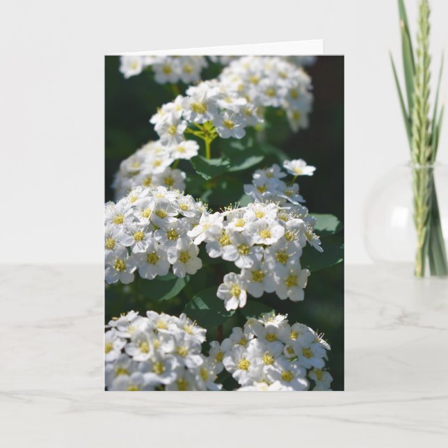 Blume Blank Grußkarte Karte (Vorderseite)