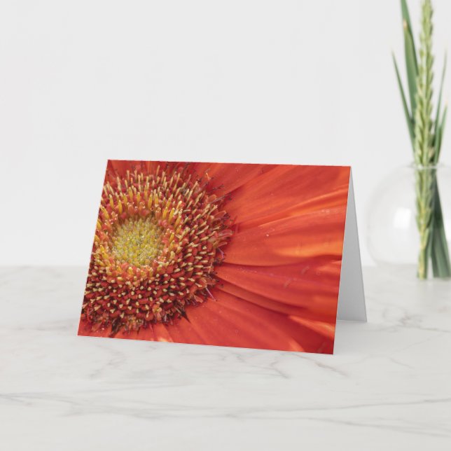 Blume Blank Notecard Dankeskarte (Vorderseite)