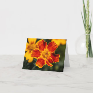 Blume Blank Notecard Dankeskarte