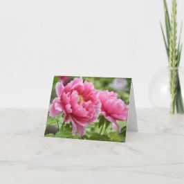 Blume Blindfarbene Rosa-Peonies Dankeskarte