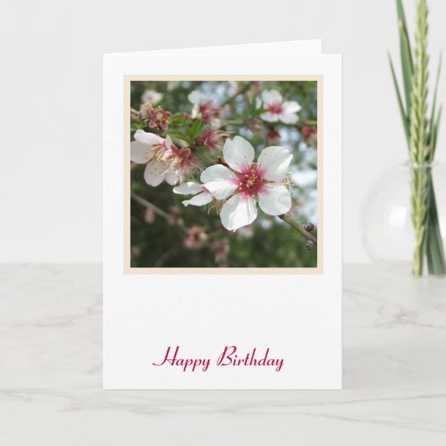 Blume Blossom Geburtskarte Karte (Vorderseite)