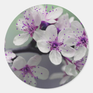 Blume blüht Aufkleber