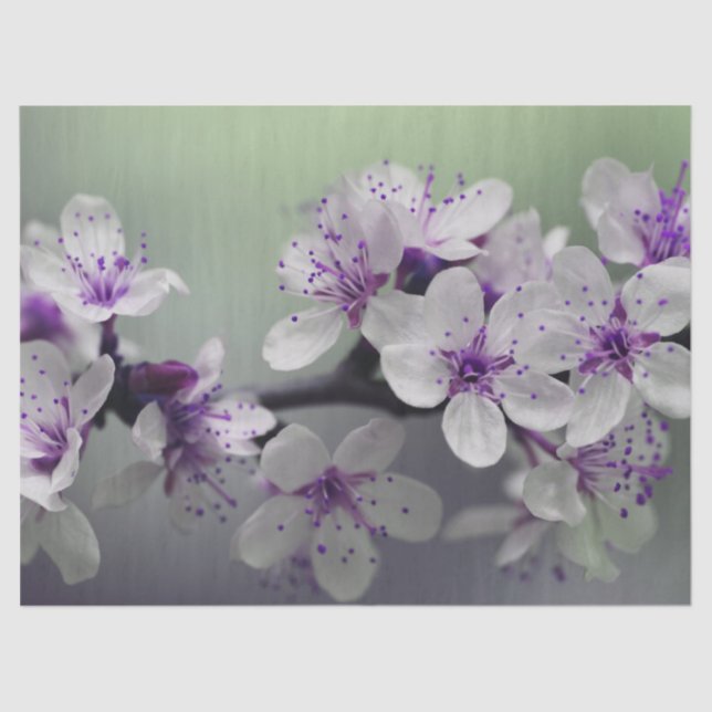 Blume blüht Gewebe Seidenpapier (Vorderseite)