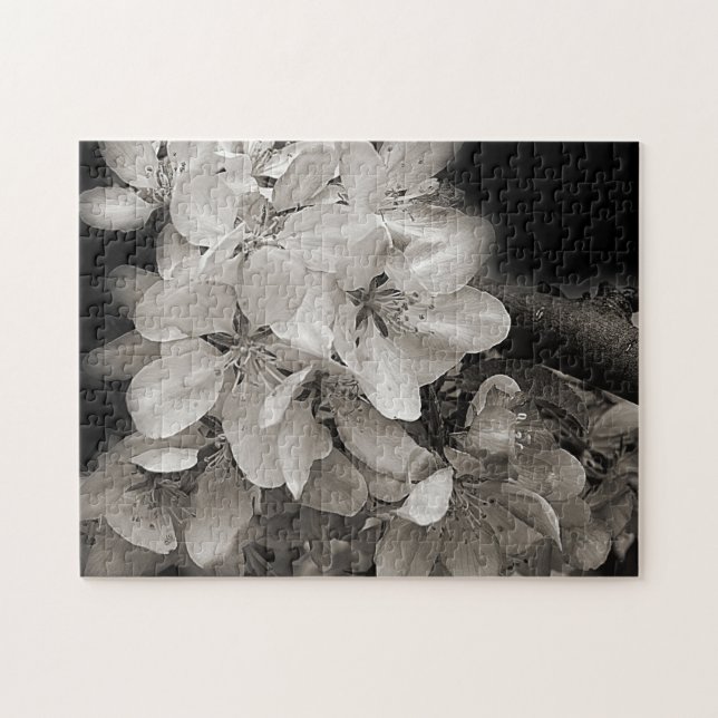 Blume blüht in Schwarz und Weiß (Horizontal)
