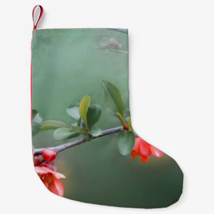 Blume Blume Quittenfeder Kleiner Weihnachtsstrumpf