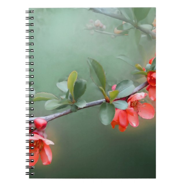 Blume Blume Quittenfeder Notizblock (Vorderseite)
