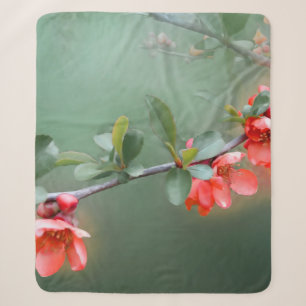 Blume Blume Quittenfeder Sherpadecke